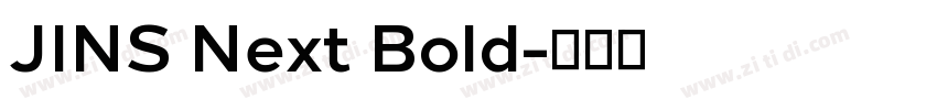 JINS Next Bold字体转换
